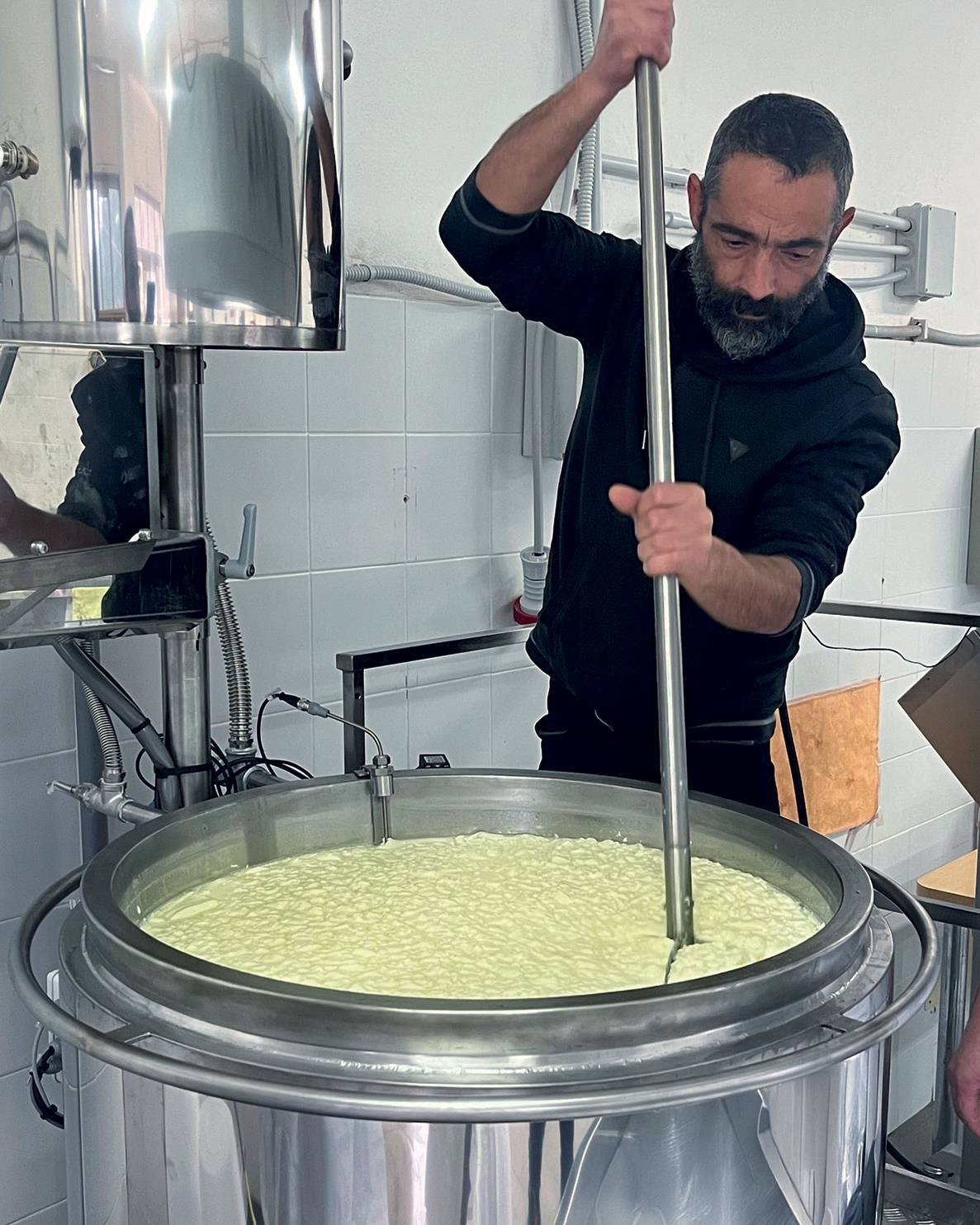 Minicaseificio Su Misura SERIE GR | CAPRA Inox