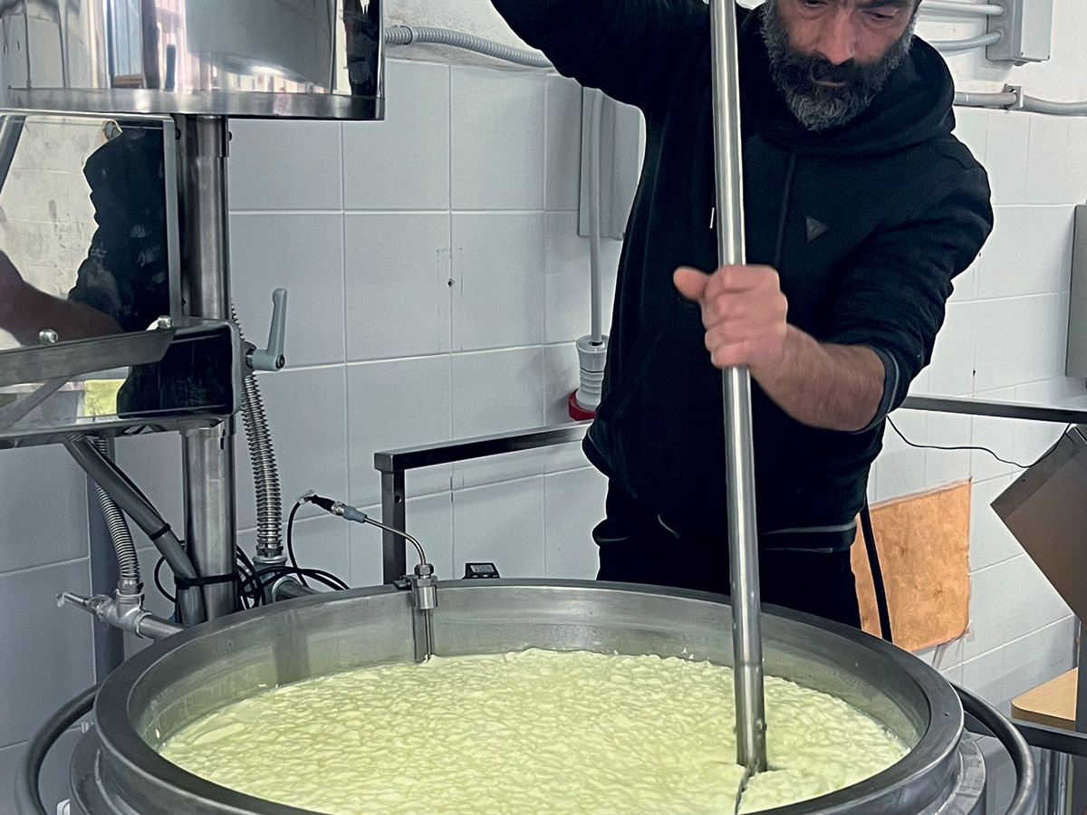 Minicaseificio Su Misura SERIE GR | CAPRA Inox