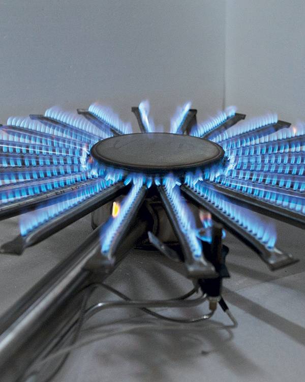 Bruciatori a Gas Potenti Serie FCG | CAPRA Inox