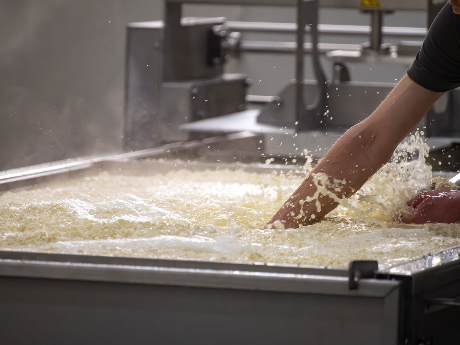 Attrezzature specifiche per caseifici artigianali per la produzione di formaggi | CAPRA Inox