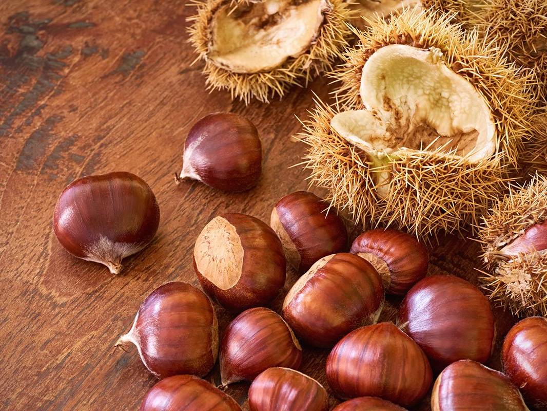 Castagne